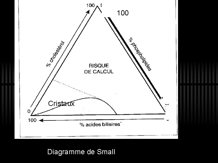 100 Cristaux 1 0 0 Diagramme de Small 