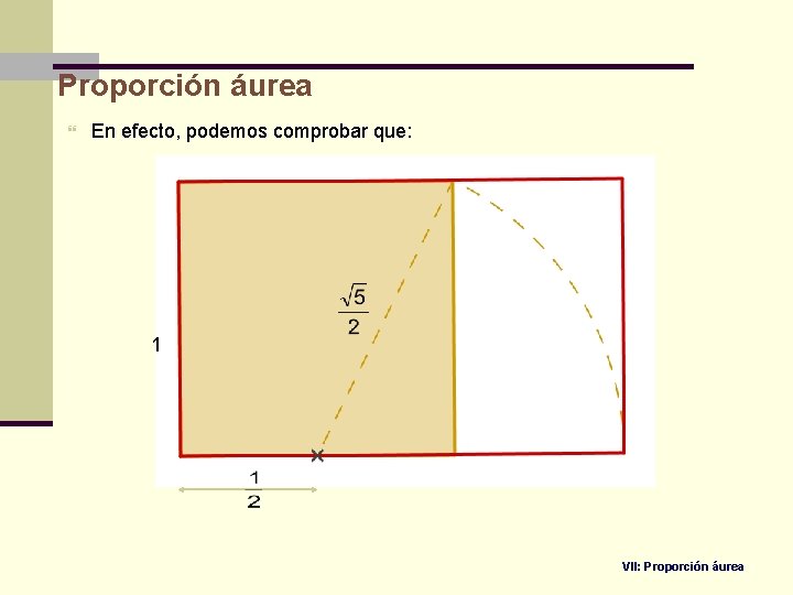 Proporción áurea En efecto, podemos comprobar que: 1 VII: Proporción áurea 