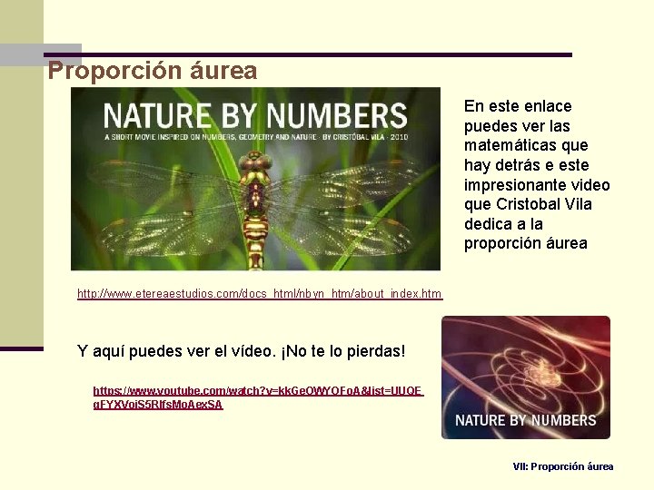 Proporción áurea En este enlace puedes ver las matemáticas que hay detrás e este