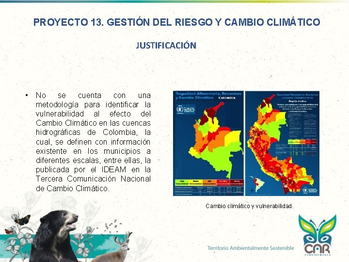 PROYECTO 13. GESTIÓN DEL RIESGO Y CAMBIO CLIMÁTICO JUSTIFICACIÓN • No se cuenta con