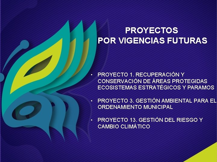 PROYECTOS POR VIGENCIAS FUTURAS • PROYECTO 1. RECUPERACIÓN Y CONSERVACIÓN DE ÁREAS PROTEGIDAS ECOSISTEMAS