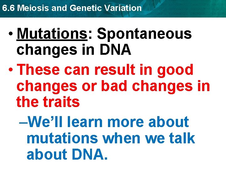 6. 6 Meiosis and Genetic Variation • Mutations: Spontaneous changes in DNA • These