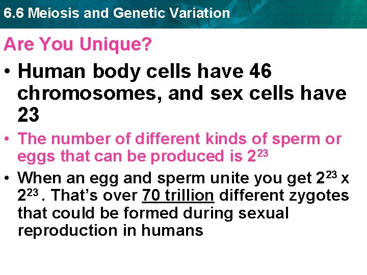 6. 6 Meiosis and Genetic Variation Are You Unique? • Human body cells have