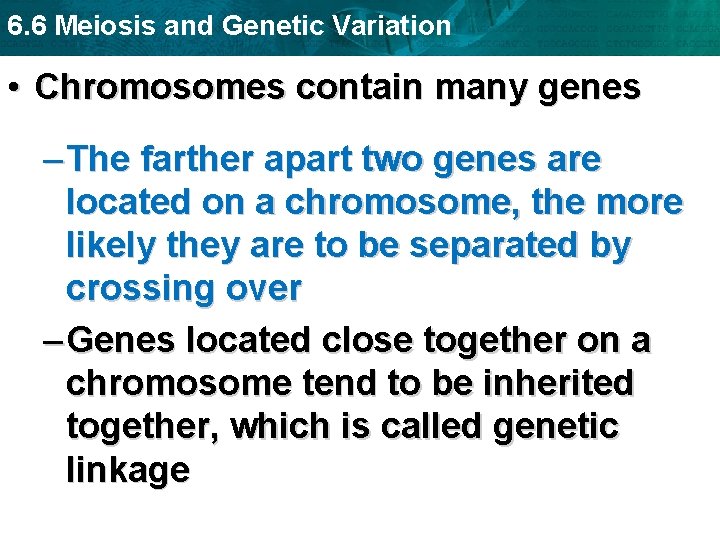 6. 6 Meiosis and Genetic Variation • Chromosomes contain many genes – The farther