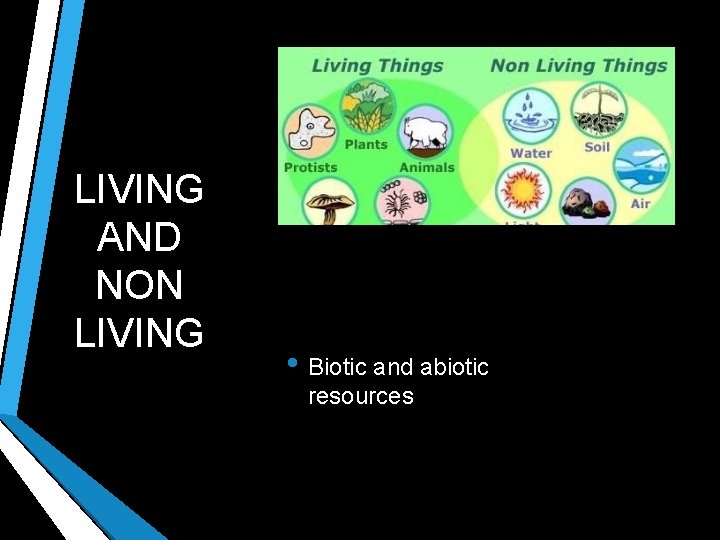 LIVING AND NON LIVING • Biotic and abiotic resources 