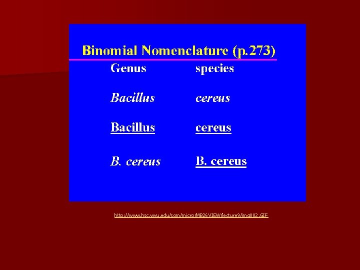 http: //www. hsc. wvu. edu/som/micro/MB 26 VIEW/lecture 9/img 002. GIF 