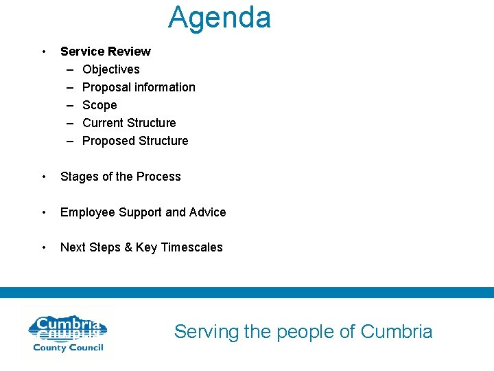 Agenda • Service Review – Objectives – Proposal information – Scope – Current Structure