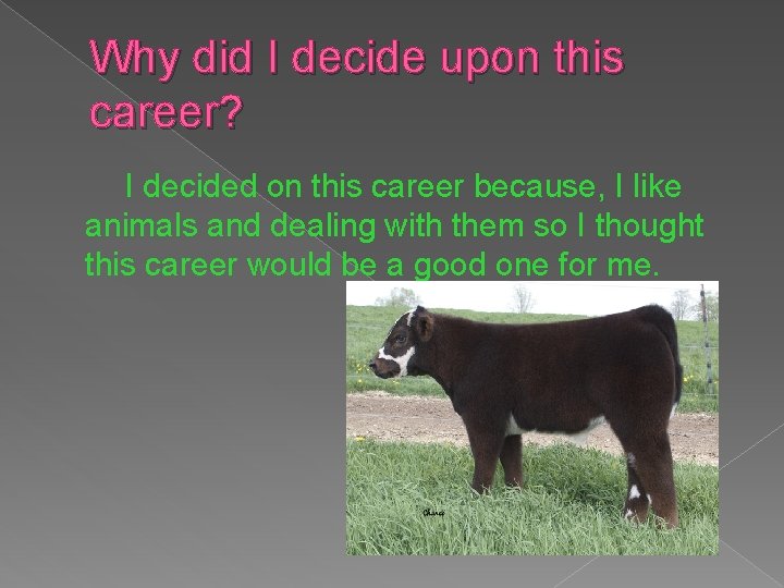 Why did I decide upon this career? I decided on this career because, I