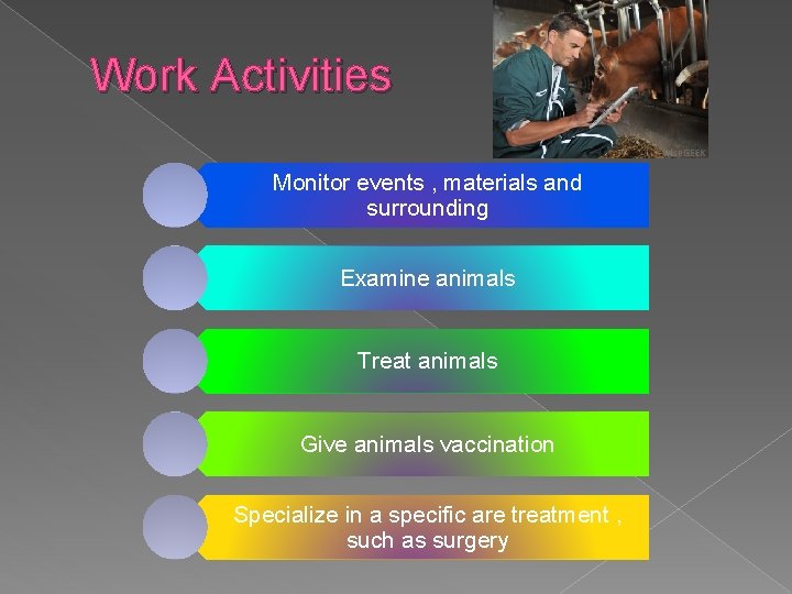 Work Activities Monitor events , materials and surrounding Examine animals Treat animals Give animals