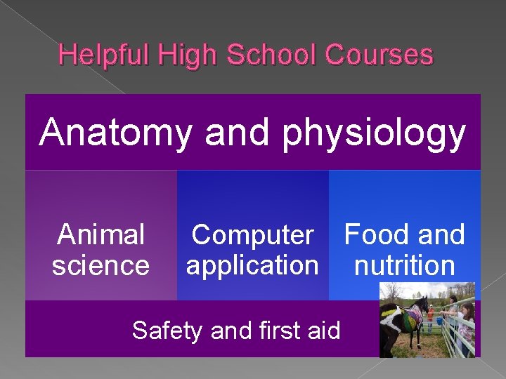 Helpful High School Courses Anatomy and physiology Animal science Computer Food and application nutrition