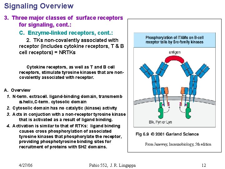 Signaling Overview 3. Three major classes of surface receptors for signaling, cont. : C.