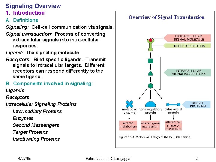Signaling Overview 1. Introduction A. Definitions Signaling: Cell-cell communication via signals. Signal transduction: Process