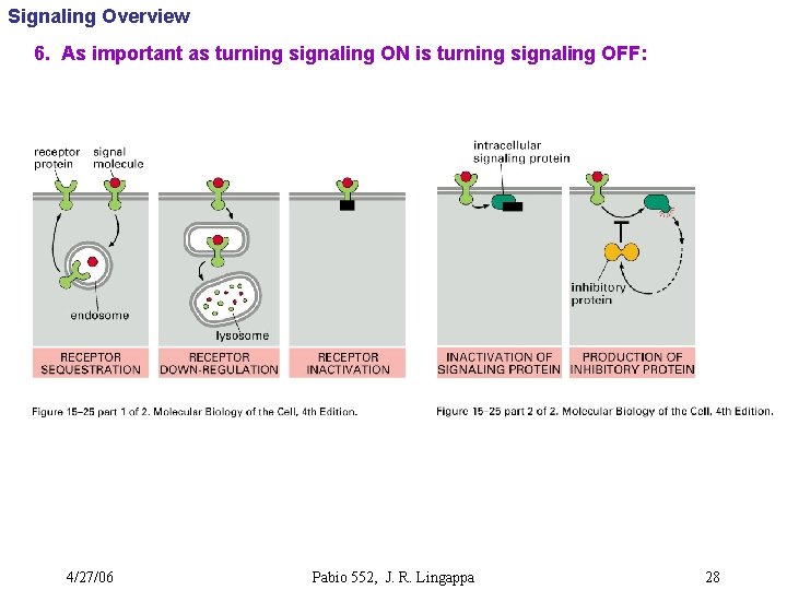 Signaling Overview 6. As important as turning signaling ON is turning signaling OFF: 4/27/06
