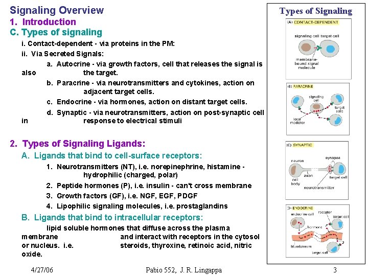 Signaling Overview Types of Signaling 1. Introduction C. Types of signaling i. Contact-dependent -