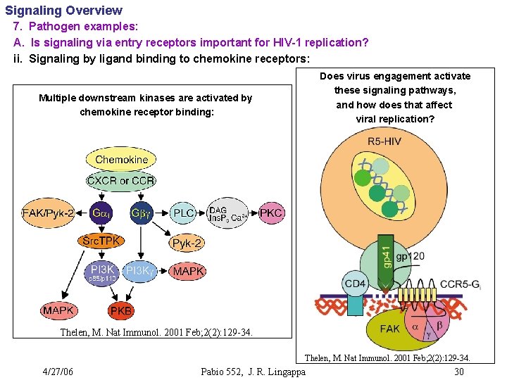 Signaling Overview 7. Pathogen examples: A. Is signaling via entry receptors important for HIV-1