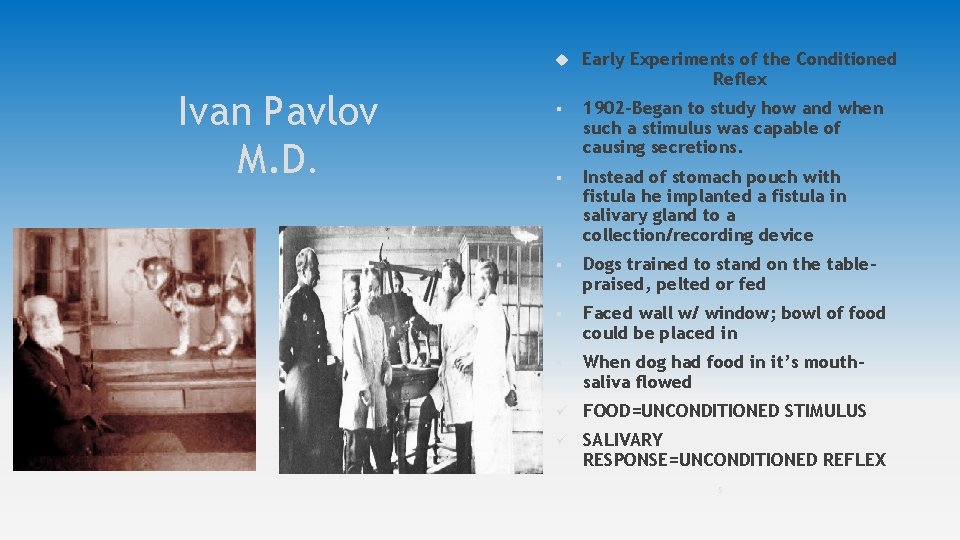 Ivan Pavlov M. D. Early Experiments of the Conditioned Reflex § 1902 -Began to