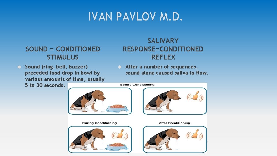 IVAN PAVLOV M. D. SALIVARY RESPONSE=CONDITIONED REFLEX SOUND = CONDITIONED STIMULUS Sound (ring, bell,