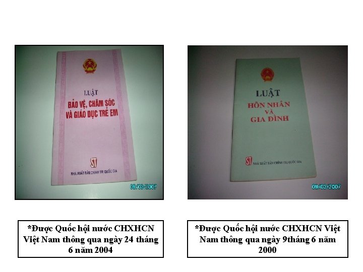 *Được Quốc hội nước CHXHCN Việt Nam thông qua ngày 24 tháng 6 năm