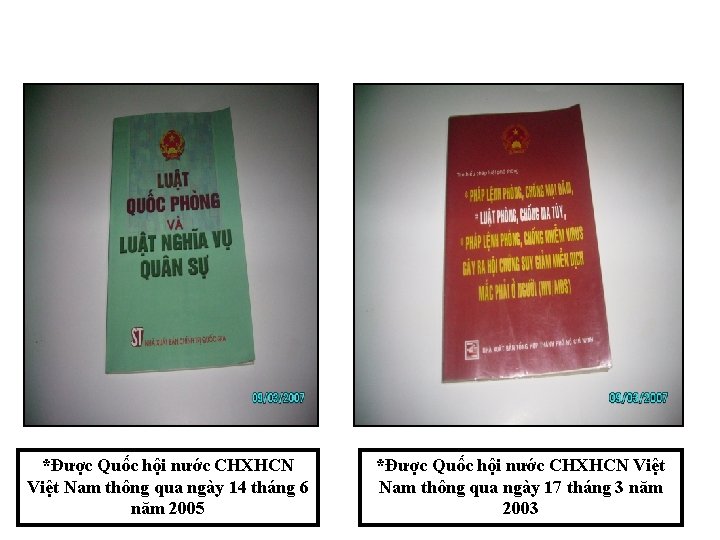 *Được Quốc hội nước CHXHCN Việt Nam thông qua ngày 14 tháng 6 năm