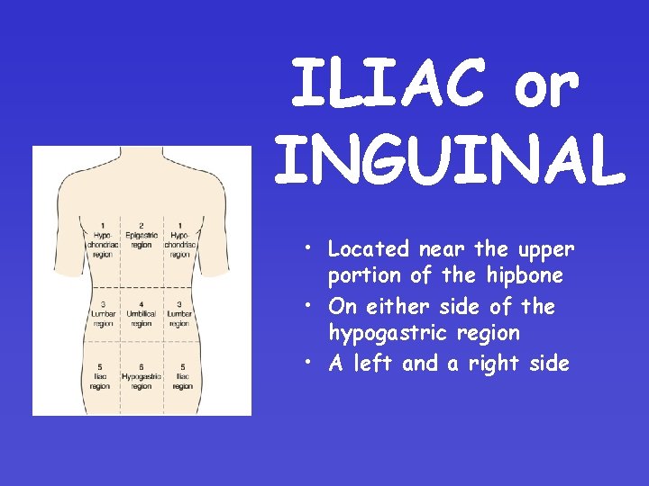 ILIAC or INGUINAL • Located near the upper portion of the hipbone • On