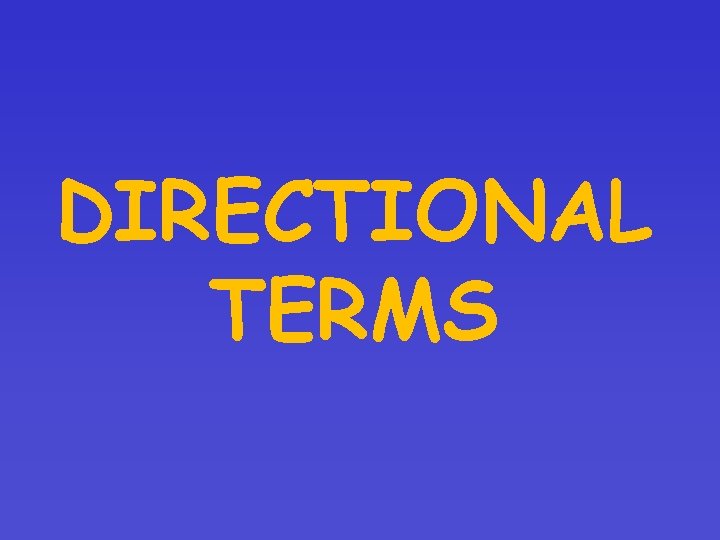 DIRECTIONAL TERMS 