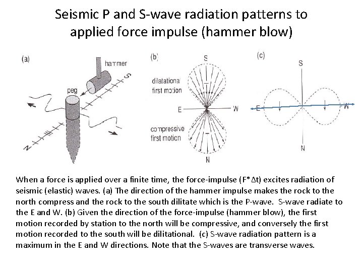 Seismic P and S-wave radiation patterns to applied force impulse (hammer blow) When a