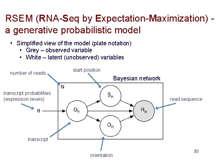 RSEM (RNA-Seq by Expectation-Maximization) a generative probabilistic model • Simplified view of the model