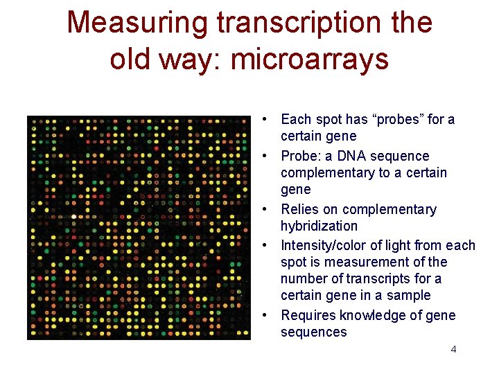 Measuring transcription the old way: microarrays • Each spot has “probes” for a certain