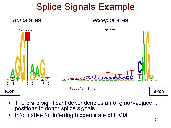 Splice Signals Example donor sites -3 -2 -1 1 exon 2 3 4 acceptor