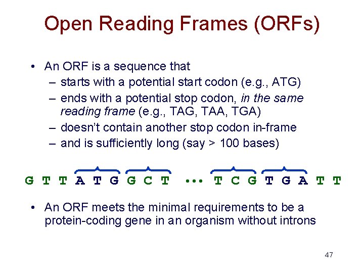 Open Reading Frames (ORFs) • An ORF is a sequence that – starts with