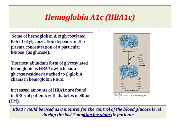Hemoglobin A 1 c (HBA 1 c) Some of hemoglobin A is glycosylated Extent