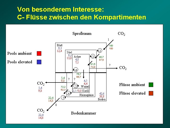 Von besonderem Interesse: C- Flüsse zwischen den Kompartimenten Sproßraum CO 2 1 Blatt 9,