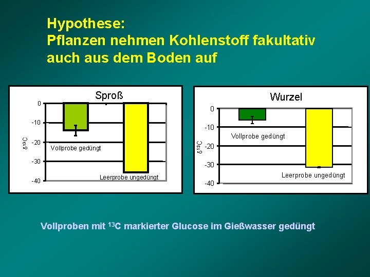 Hypothese: Pflanzen nehmen Kohlenstoff fakultativ auch aus dem Boden auf 0 Sproß Wurzel 0