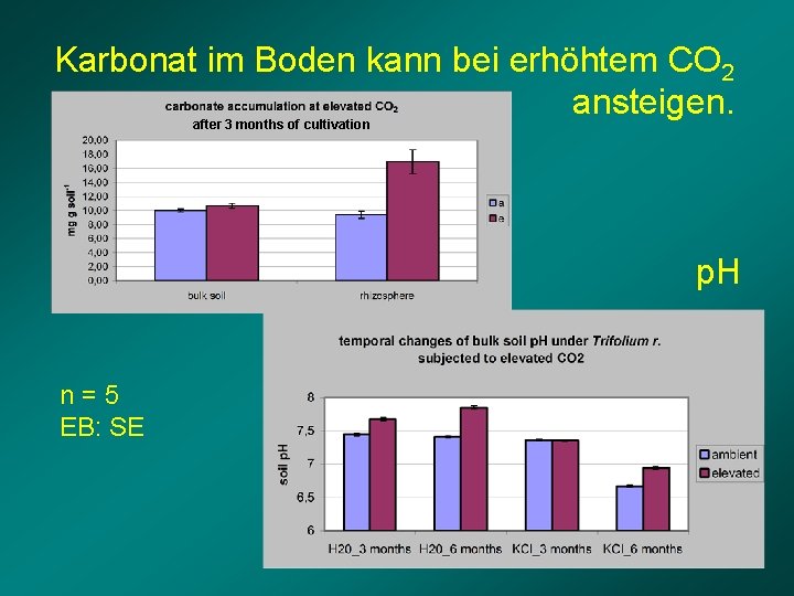 Karbonat im Boden kann bei erhöhtem CO 2 ansteigen. after 3 months of cultivation