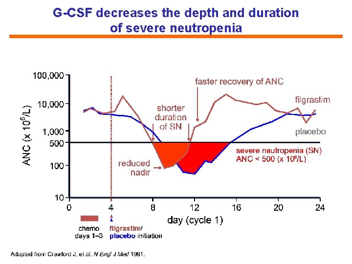 G-CSF decreases the depth and duration of severe neutropenia 