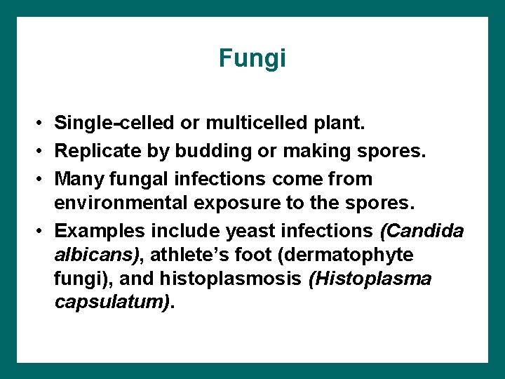 Fungi • Single-celled or multicelled plant. • Replicate by budding or making spores. •