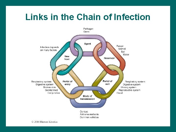 Links in the Chain of Infection 