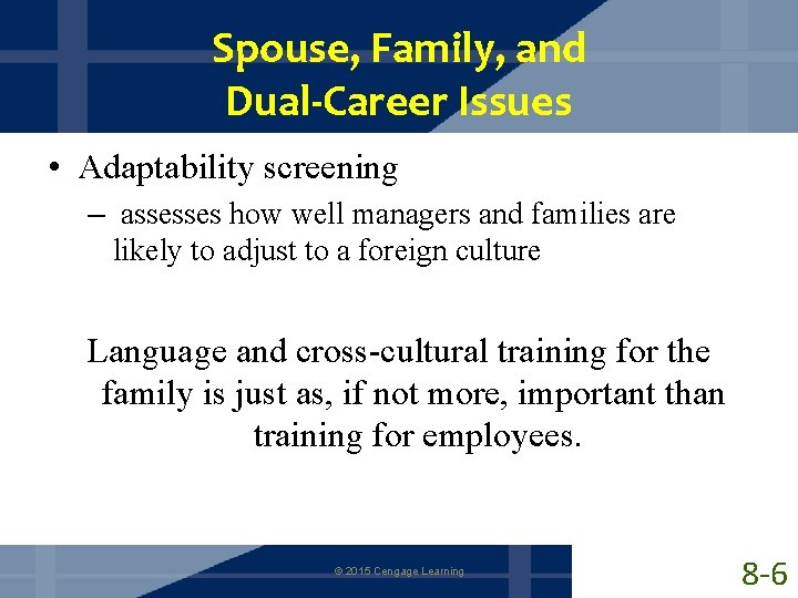 Spouse, Family, and Dual-Career Issues • Adaptability screening – assesses how well managers and