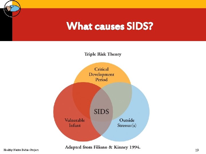 What causes SIDS? Healthy Native Babies Project 19 