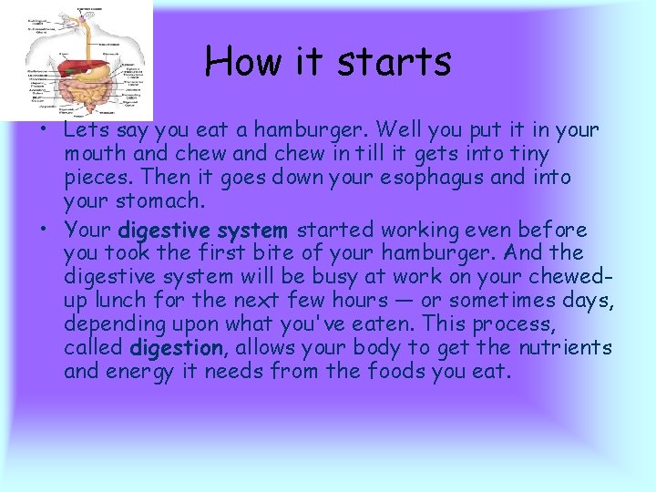 How it starts • Lets say you eat a hamburger. Well you put it