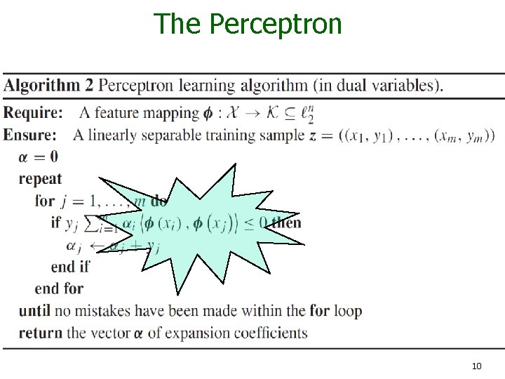 The Perceptron 10 