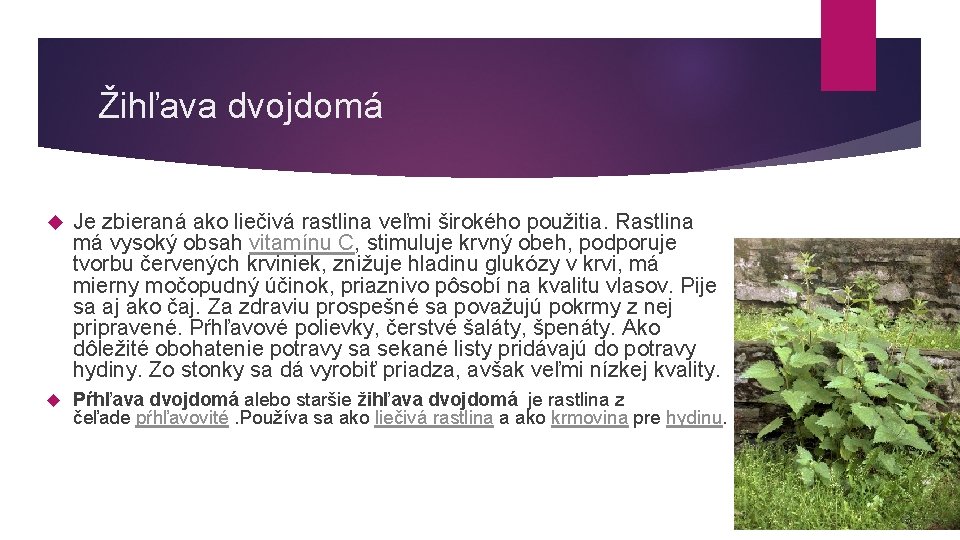 Žihľava dvojdomá Je zbieraná ako liečivá rastlina veľmi širokého použitia. Rastlina má vysoký obsah