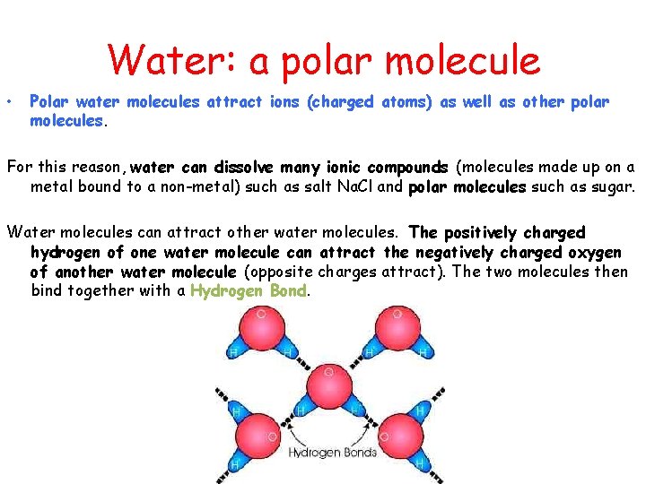 Water: a polar molecule • Polar water molecules attract ions (charged atoms) as well