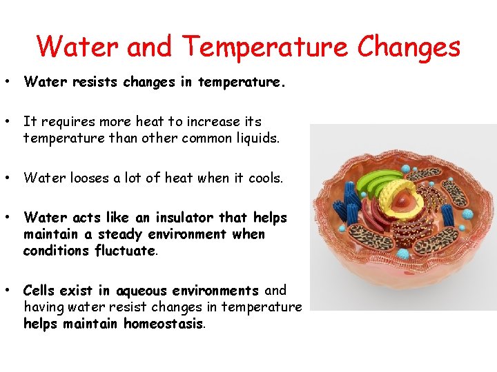Water and Temperature Changes • Water resists changes in temperature. • It requires more