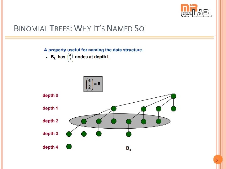 BINOMIAL TREES: WHY IT’S NAMED SO 5 