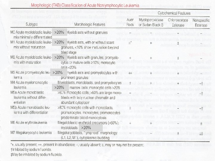 Acute Myeloid Leukaemia >20% FAB Subtypes >20% >20% 