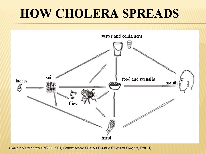 HOW CHOLERA SPREADS (Source: adapted from AMREF, 2007, Communicable Diseases Distance Education Program, Unit