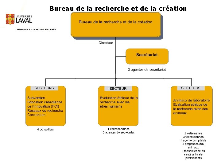 Bureau de la recherche et de la création www. ulaval. ca 24 