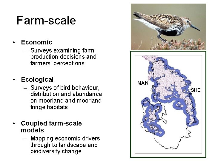 Farm-scale • Economic – Surveys examining farm production decisions and farmers’ perceptions • Ecological