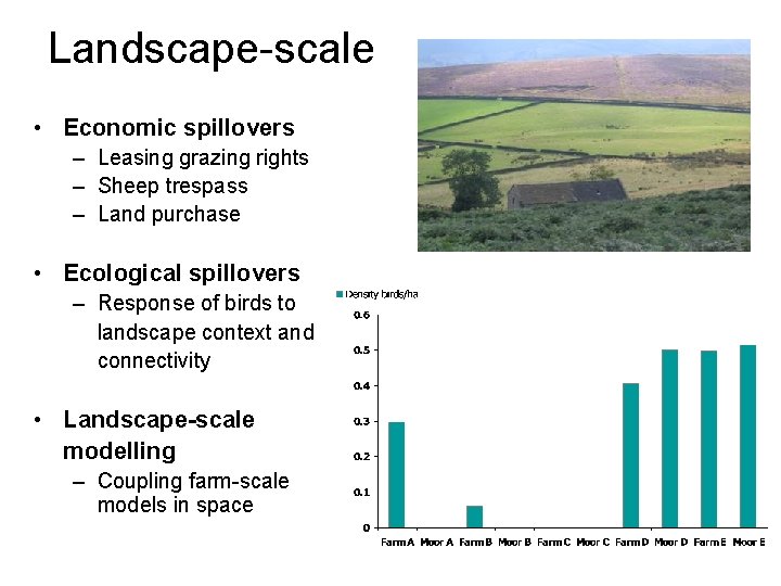 Landscape-scale • Economic spillovers – Leasing grazing rights – Sheep trespass – Land purchase